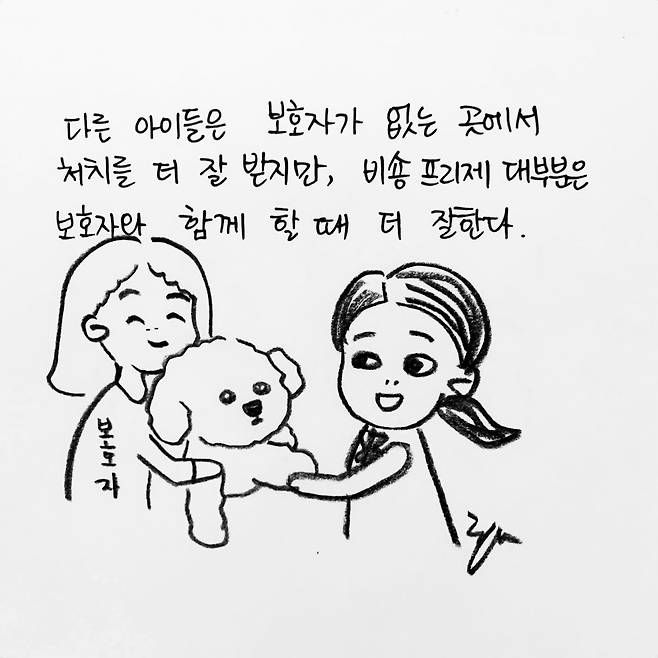 해피펫툰 비숑 프리제(한인가 수의사 제공) © 뉴스1