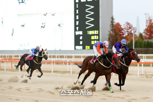 코리안더비 우승마 ‘위너스맨’과 최시대 기수가 결승선을 향해 질주하고 있다.&nbsp; 제공 | 한국마사회