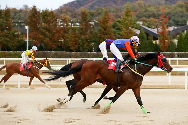 코리안더비 우승마 위너스맨과 최시대 기수 결승선 통과장면. 사진제공=한국마사회