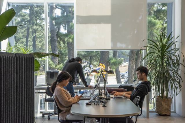 더웨이브컴퍼니가 오는 15일부터 12월 24일까지 일하며 쉴 수 있는 워케이션(Work+Vacation) 프로그램 ‘일로오션’을 오픈한다. /사진 제공=더웨이브컴퍼니