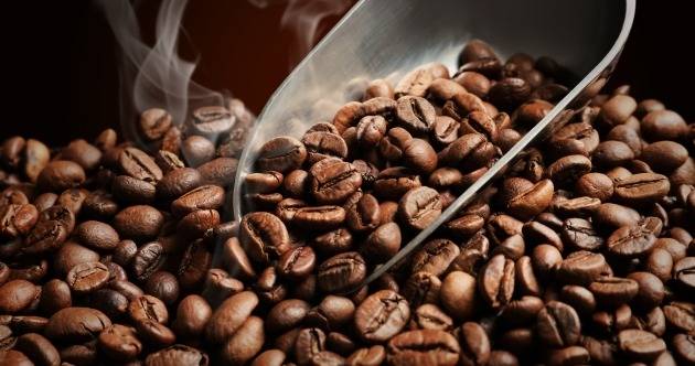 게티이미지뱅크