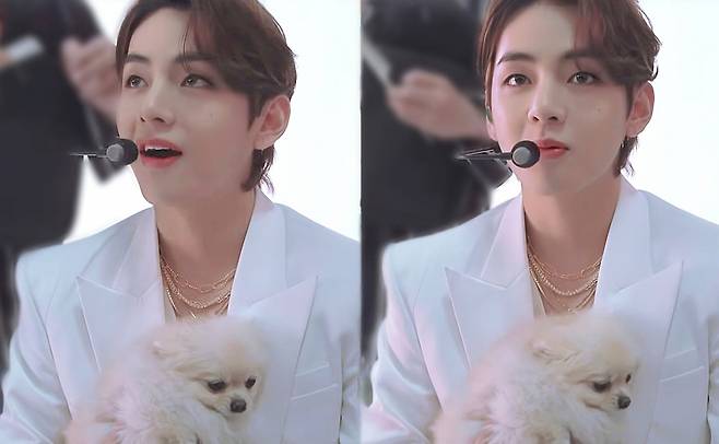 언제나 사랑 가득♡ 방탄소년단 뷔, 강아지도 질투하게 만드는 세상 가장 따뜻한 눈빛