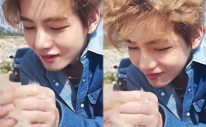 언제나 사랑 가득♡ 방탄소년단 뷔, 강아지도 질투하게 만드는 세상 가장 따뜻한 눈빛