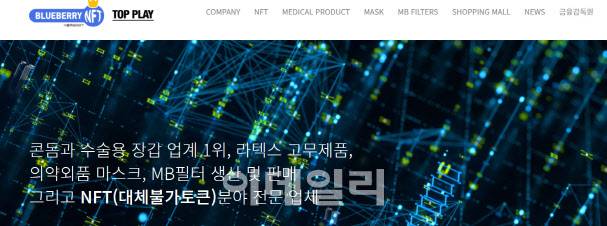 블루베리NFT 홈페이지 갈무리