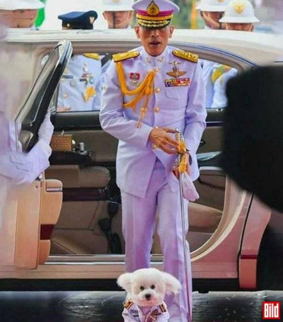 ['발트지' 보도 캡처]