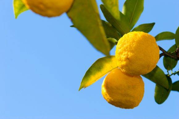 [사진=게티이미지뱅크]