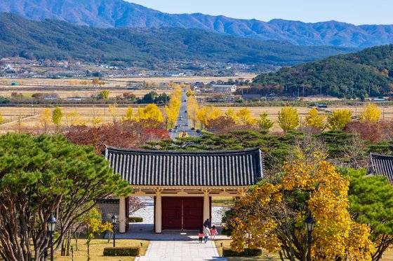 통일전에서 내려다본 은행나무길.