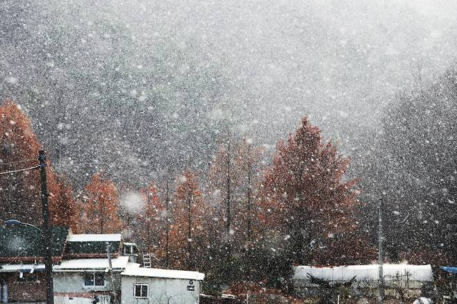 절기상 소설인 22일 오후 경기도 용인시 처인구 이동읍 한 마을에 눈이 내리고 있다. 연합뉴스