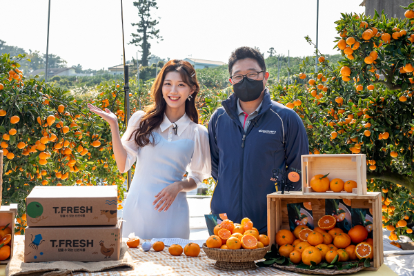 티몬과 생산자 직접판매를 계약한 농장주 김영진씨가 지난 15일 제주 티몬농장에서 티몬 쇼호스트 최예린씨와 감귤 라이브방송을 하고 있다. 티몬 제공