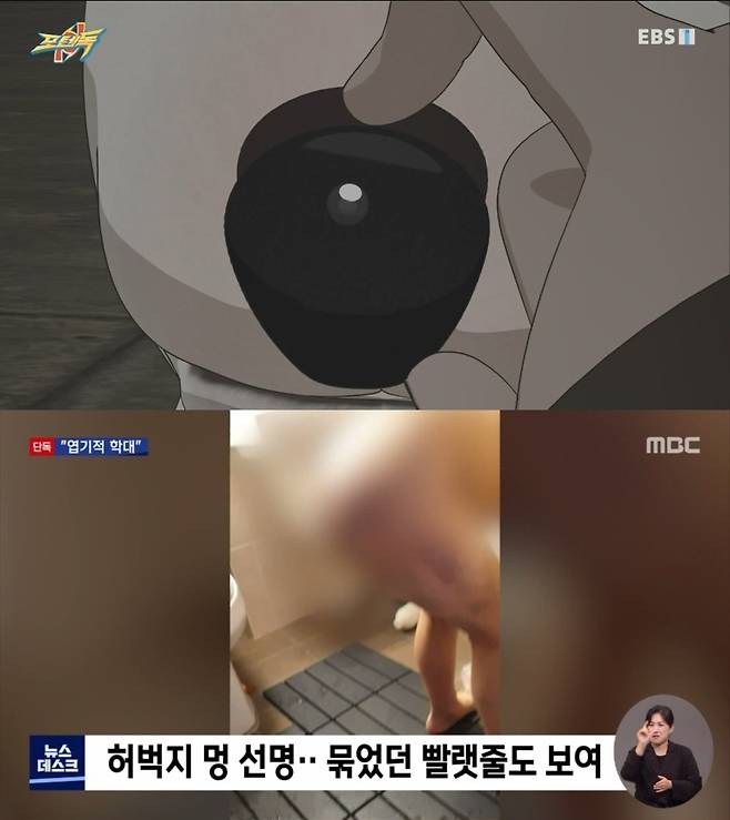 '포텐독', '뉴스데스크'가 '주의' 처분을 받았다. /사진제공=EBS, MBC 방송 캡처