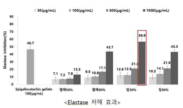 엘라스테이즈 저해 효과 [경남도농업기술원 제공. 재판매 및 DB 금지]