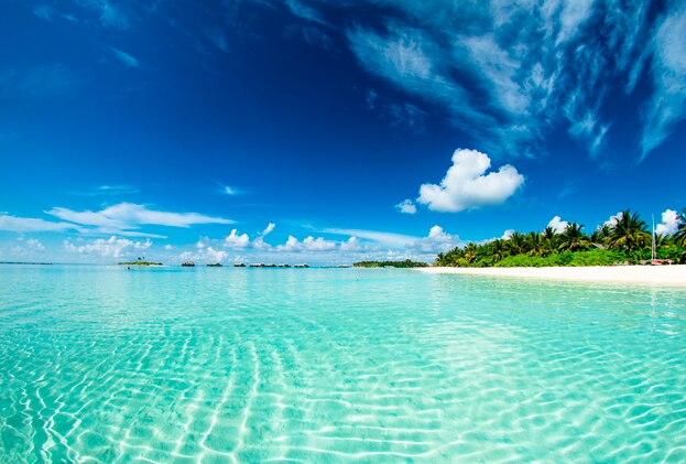 바베이도스의 바다 풍경.