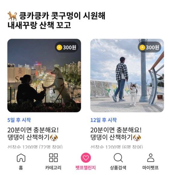 챌린지를 통해 반려동물을 위한 좋은 습관을 함께 기른다. [사진 황지혜, 펫프렌즈 캡처]