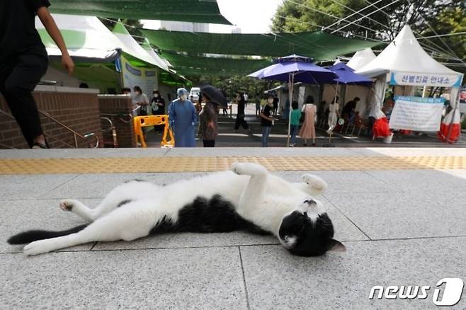 사진은 기사와 직접적인 관련이 없음. /사진=뉴스1