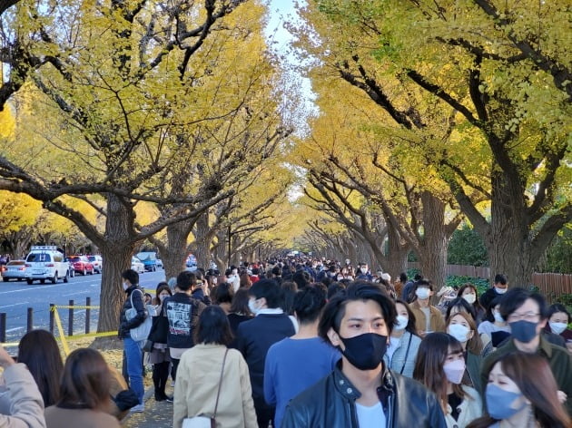27일 오후 '일본에서 가장 유명한 은행나무 거리'인 도쿄 진구가이엔도오리는 늦가을을 만끽하려는 시민들로 발디딜 틈이 없었다. (도쿄=정영효 특파원)