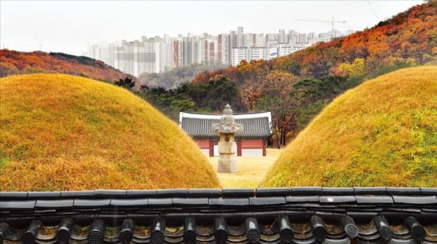 < ‘왕릉 뷰’ 가린 검단 아파트 > 유네스코 세계문화유산인 경기 김포시 풍무동 장릉. 인천 검단신도시에 건립 중인 아파트 때문에 장릉 능침에서 계양산을 볼 수 없다. 장릉에는 조선 16대 왕 인조의 부모인 원종과 인헌왕후가 묻혔다. /김병언 기자