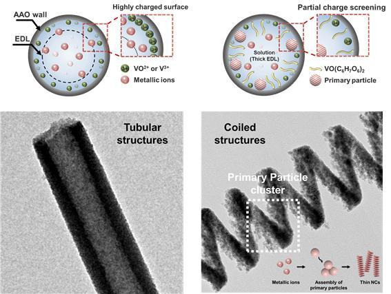 [서울=뉴시스] 바나딜 이온에 의한 전자의 흐름 유도에 따른 나노 튜브 합성 이미지, 바나딜아스콜베이트에 의한 일차 입자 형성 및 나노 코일로의 형상 변화(자료=고려대 제공) *재판매 및 DB 금지