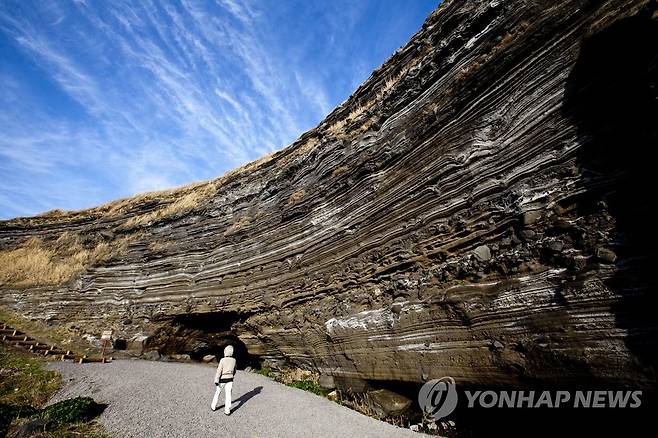 세계지질공원 제주 수월봉 화산재층 [제주도 세계유산·한라산연구원 제공=연합뉴스]