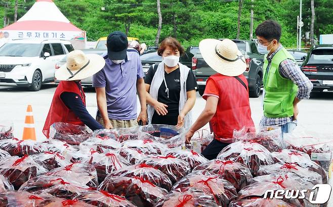 괴산고추축제 오프라인 고추판매장.© 뉴스1