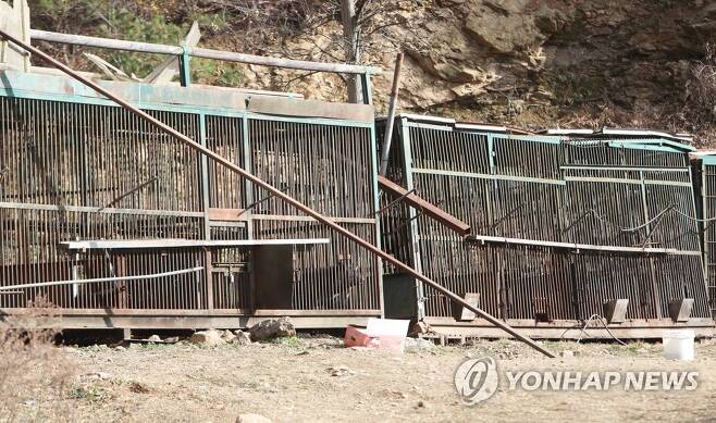 반달가슴곰 탈출한 농장 [연합뉴스 자료 사진]