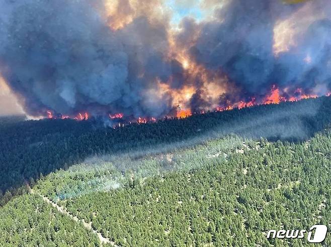 2021년 6월 29일 캐나다 서부 브리티시컬럼비아(BC)에서 발생한 산불. © AFP=뉴스1 © News1 김지현 기자