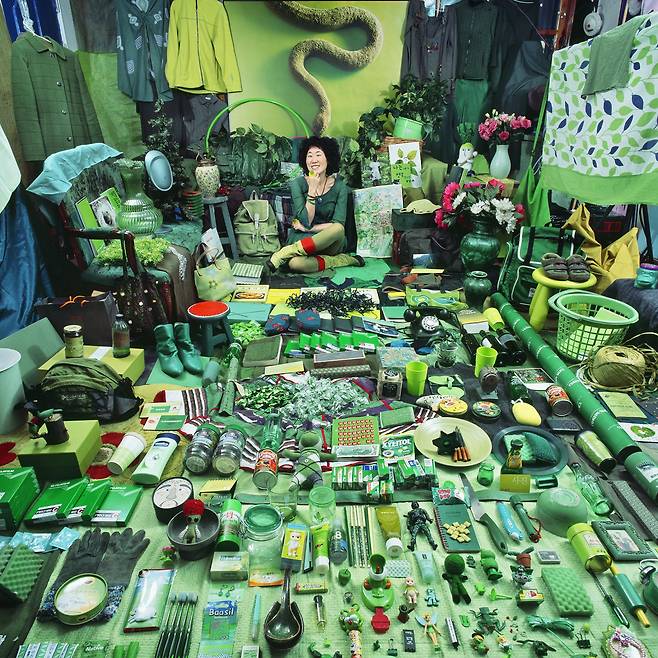 윤정미, 성연이와 그녀의 초록색 물건들, 2008