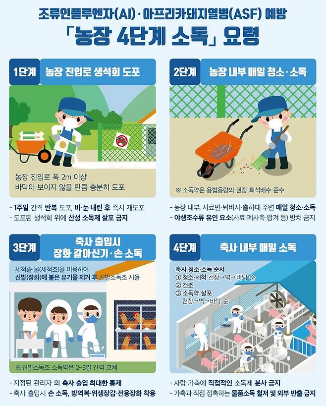 [세종=뉴시스] 고병원성 조류인플루엔자 예방 가금농장 4단계 소독 요령.  *재판매 및 DB 금지