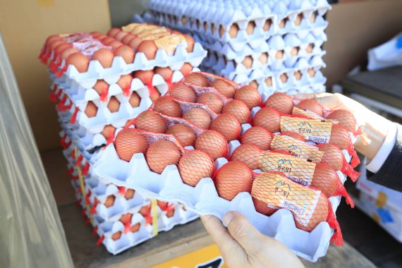 [서울=뉴시스]박민석 기자 = 서울 동대문구 청량리 농수산물시장의 한 상점에 진열된 달걀.