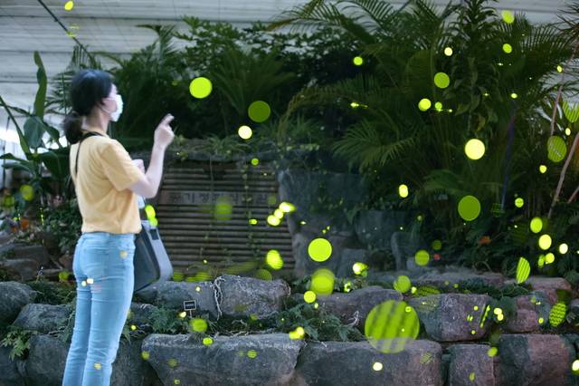 사진은 기사와 관련 없습니다. *재판매 및 DB 금지