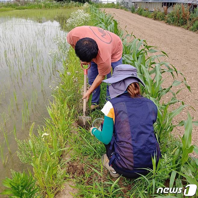 농촌진흥청은 농업인과 함께하는 생물조사법을 적용했다고 밝혔다 © 뉴스1