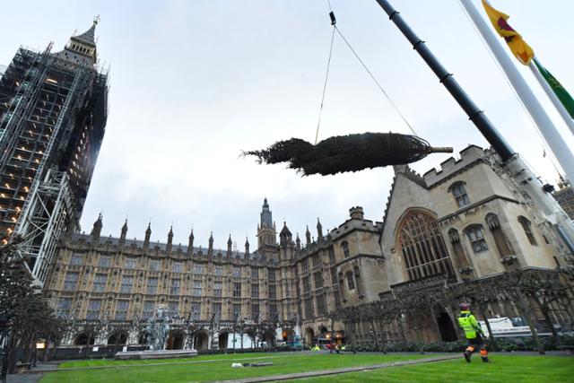 지난달 27일 영국 런던 웨스트민스터 의회 건물 앞에서 크리스마스 트리 설치 작업이 진행되고 있다. 런던=로이터 연합뉴스
