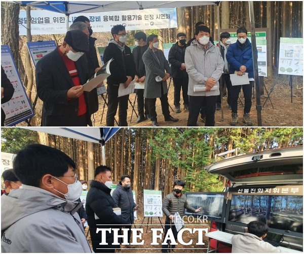 서부지방산림청은 지난 7일 탄소중립 주간을 맞아 관내 문수산(축령산) 편백림 숲가꾸기 현장을 방문했다고 밝혔다. /서부지방산림청 제공