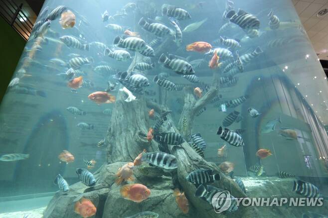 섬진강 어류생태관 [연합뉴스 자료사진]