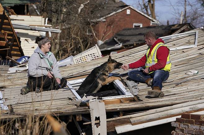 켄터키주 메이필드의 주민 크리스 부캐넌(오른쪽)이 11일 부서진 집 잔해에서 애견 체인에게 먹이를 주고 있다. AP=연합뉴스