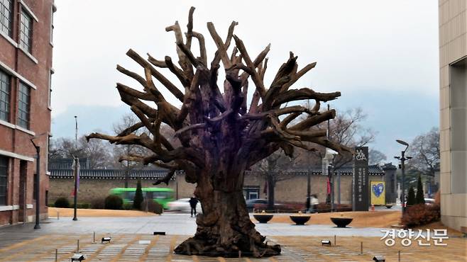 중국 남부 고목으로 만든 ‘나무’. 김종목 기자