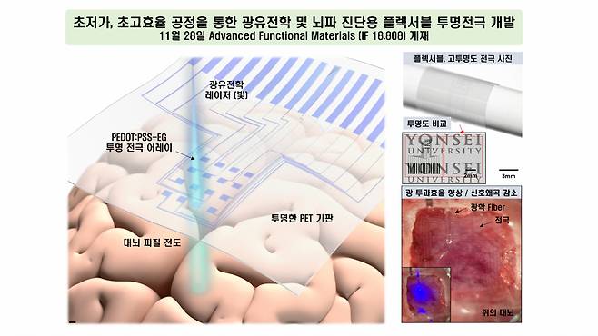 이번 연구성과 개요 및 특징.[연세대학교 제공]