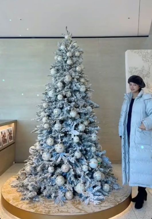 Hwang Jung-eum shared her daily life to enjoy the Christmas atmosphere.Hwang Jung-eum posted a picture on his personal Instagram story on the 17th without any phrase.Hwang Jung-eum in the public photo is standing next to a super-large tree and is taking an authentication photo.Hwang Jung-eum, who wears a beret and a thick long padding, attracts attention with his legendary Beautiful looks so that he can not believe that he is a full-fledged pregnant woman.Meanwhile, Hwang Jung-eum married professional golfer and businessman Lee Young-don in 2016 and has a son.In September last year, the two submitted an application for divorce settlement in four years of marriage, but they recently reunited after the divorce crisis and collected news of their second pregnancy.Hwang Jung-eum SNS