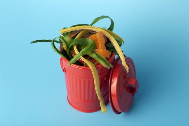 게티이미지뱅크