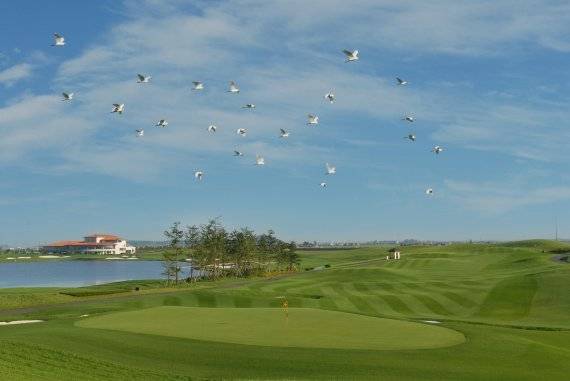 겨울이면 철새 도래지에 손색이 없을 정도로 많은 새들이 찾아 오는 군산CC. /사진=군산CC