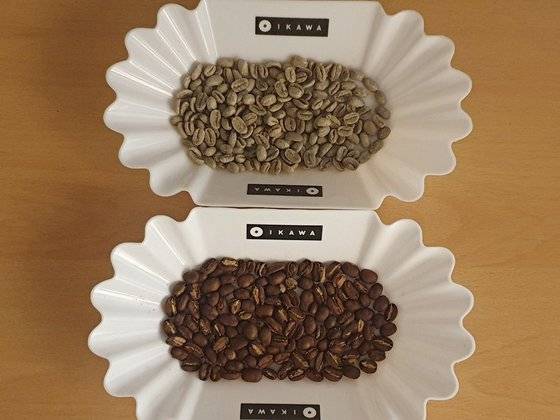 생두(위) 50g을 이카와 로스팅 머신으로 로스팅했을 때 나온 결과물, 원두(아래)다. 수분이 날아가면서 부피가 줄어든 것을 볼 수 있다. [시진 윤석준]