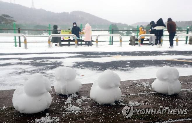 오늘은 말 대신 눈 구경 제주 산지에 대설주의보가 내려진 18일 제주시 제주마 방목지를 찾은 사람들이 설경을 감상하고 있다. [연합뉴스 자료사진]