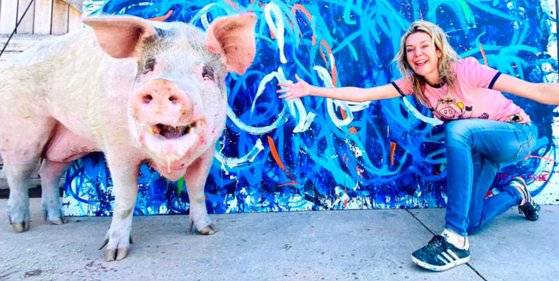 피그카소와 조앤 레프슨. [사진 '피그카소' 페이스북 캡처]