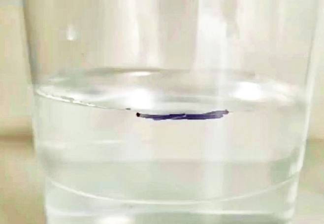 얼음이 녹으면서 스티로폼 쪽 수위만 높아졌다.  김시우, 이채원 학생팀 실험 동영상 갈무리