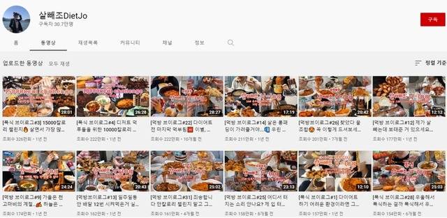 이영미 박사는 먹방 브이로그는 기존의 자극적인 먹방을 둘러싼 논란과 대비돼 인기가 높아지고 있다고 설명했다. /유튜브 채널 '살뺴조' 캡처