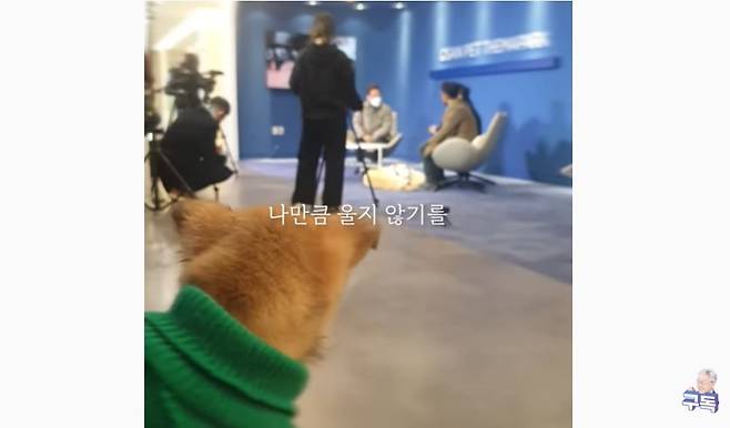 [이재명 유튜브 캡처]