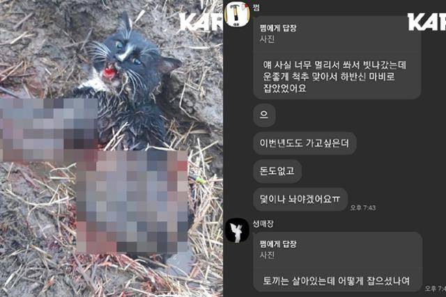 동물 살해를 모의하고 실행한 동물판 n번방 '고어전문방' 참여자 이모씨가 석궁으로 고양이를 맞춘 후 그 사실을 '고어전문방'에 공유하고 있다. 이씨는 불법 소지한 단도로 이 고양이를 참수한 다음 머리뼈도 채팅방에 공유했다. 동물권행동 '카라' 홈페이지 캡처