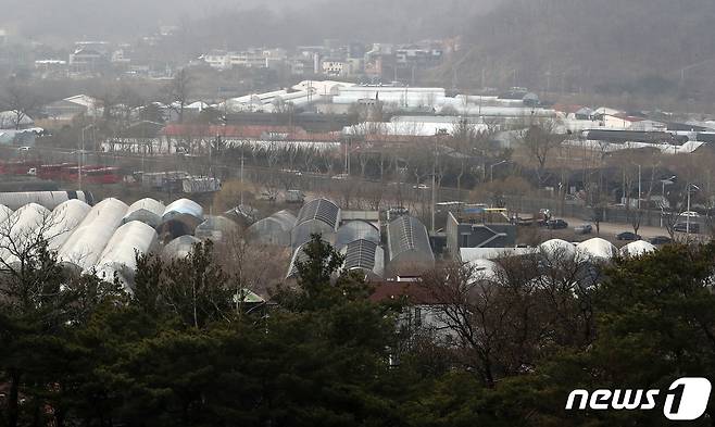 경기도 과천 지구.(자료사진) 2021.3.11/뉴스1 © News1 이동해 기자