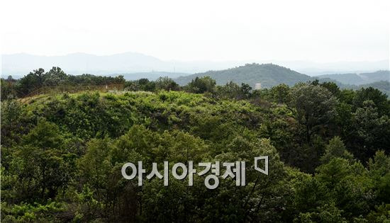 중동부전선 비무장지대(DMZ)에서 매복작전을 하던 병사가 자신의 총기 발사로 숨지는 사건이 발생해 군 당국이 조사에 착수했다.