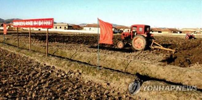 북한의 논밭갈이 모습. 연합뉴스