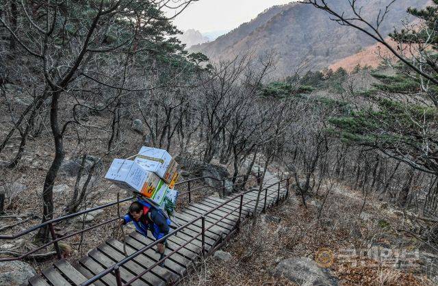 “지게를 질 때는 힘뿐만 아니라 요령, 끈기 3박자가 필요하다”